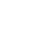 vyrams